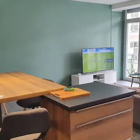 Logement Situe A 100m Des Thermes Plein Cv Vichy