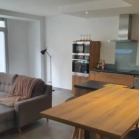 Logement Situe A 100m Des Thermes Plein Cv